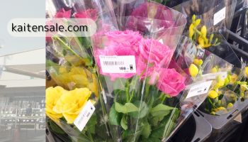 姫路市　アグロ山吹店