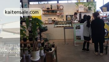 アグロ山吹店　店内カフェ「CAFE＆GREEN　緑菜七彩」